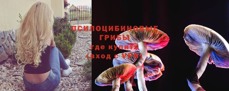 Галлюциногенные грибы Magic Shrooms  mega ТОР  Берёзовка  как найти  